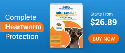 Interceptor