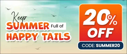 SUMMER SEASON SALE!